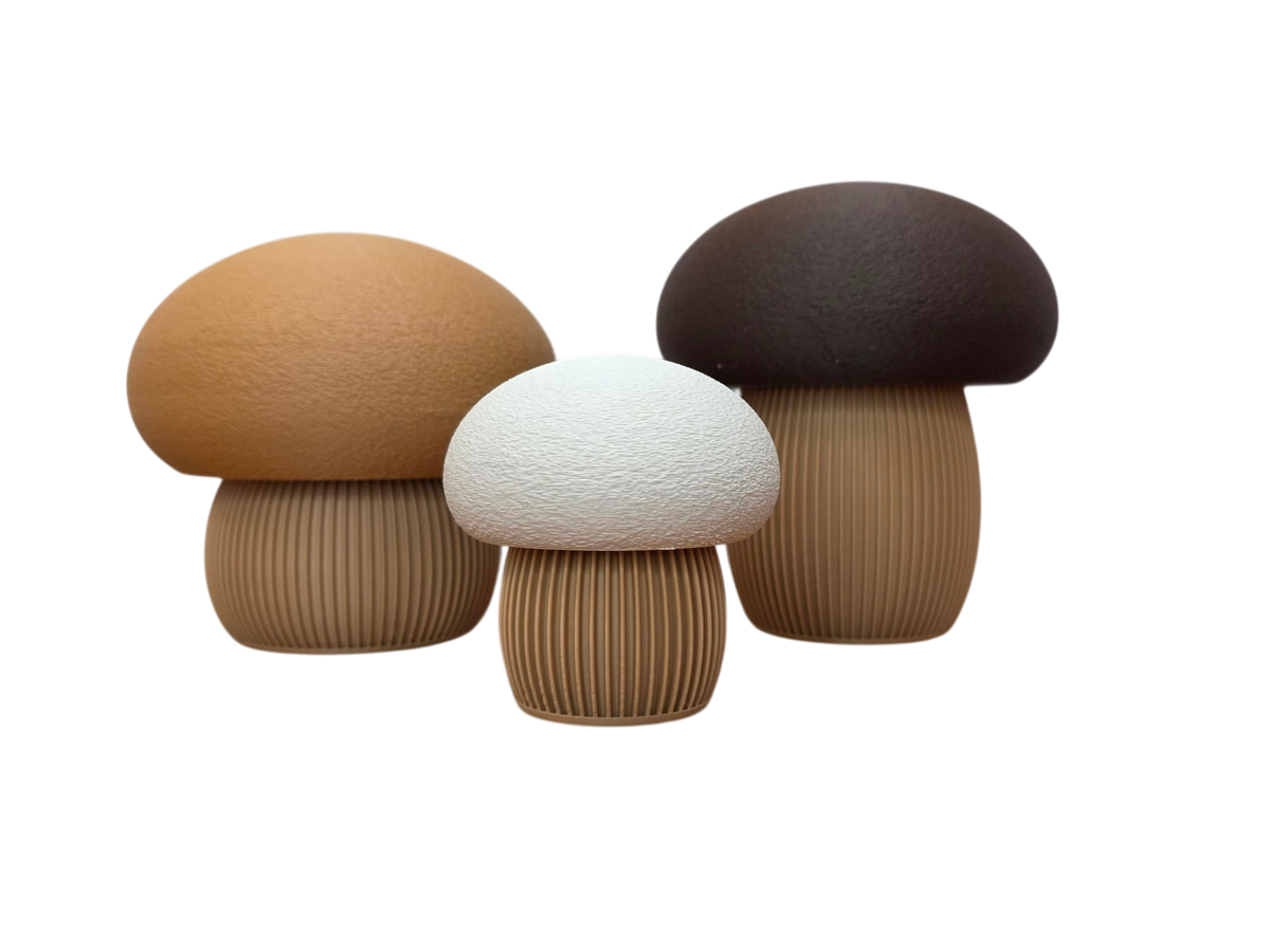 Trio de champignons Japandi détourés avec ombre de contact, fabriqués en Alsace