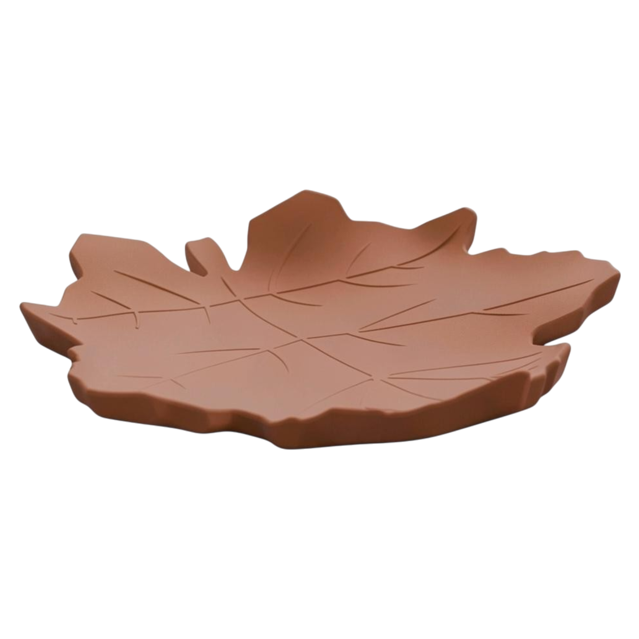Plateau Feuille d’Érable Terre Brûlée – vue rasante