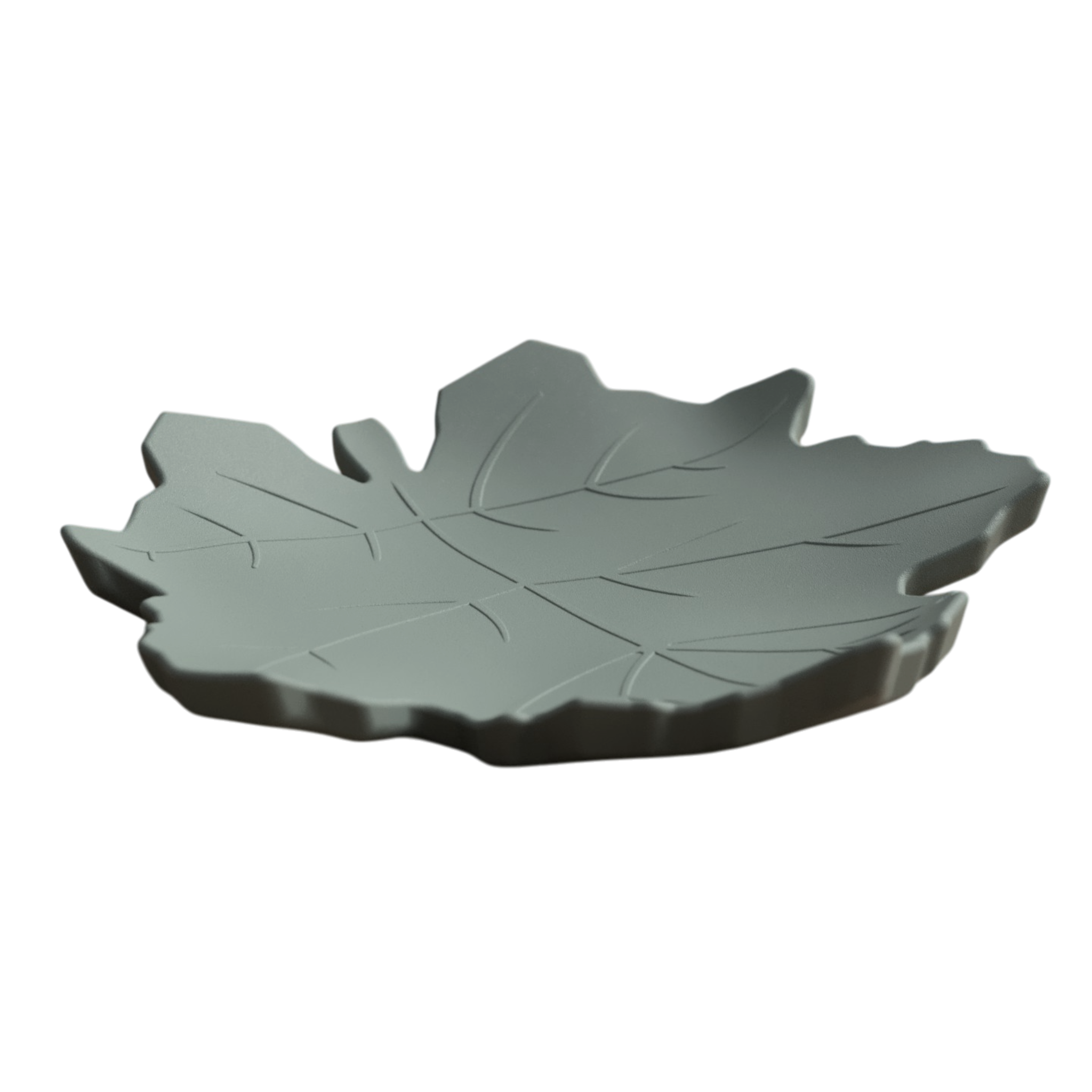 Plateau Feuille d’Érable Vert Sauge – vue rasante